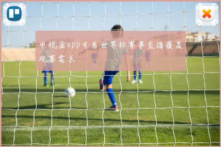 电视盒app可看世界杯赛事直播覆盖观赛需求