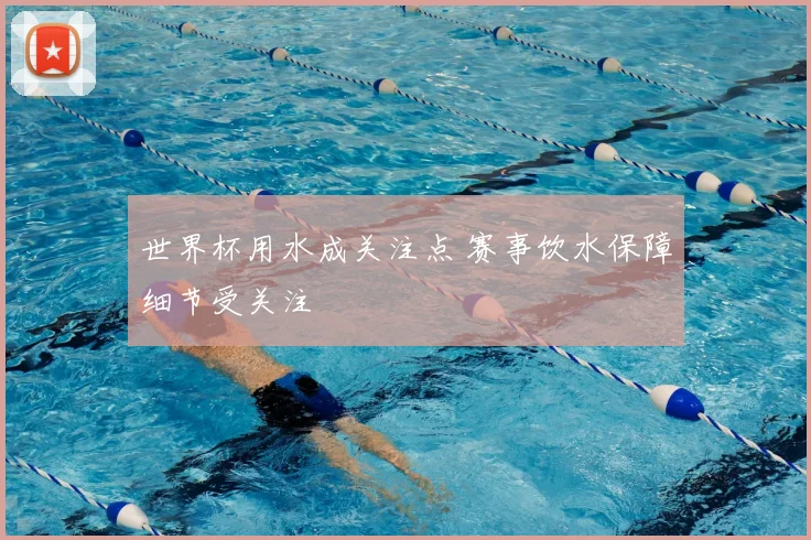 世界杯用水成关注点 赛事饮水保障细节受关注