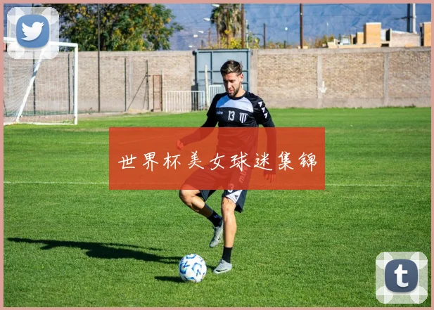 世界杯美女球迷集锦