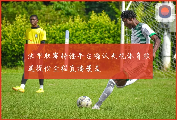 法甲联赛转播平台确认央视体育频道提供全程直播覆盖