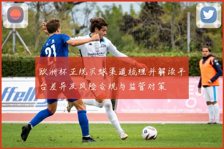 欧洲杯正规买球渠道梳理并解读平台差异及风险合规与监管对策