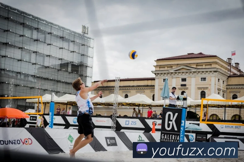 问鼎app网页版入口平台生态图