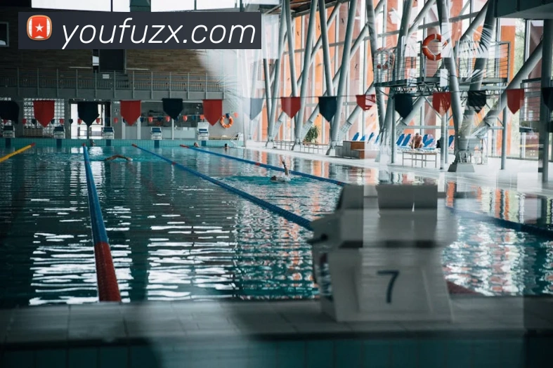 问鼎app网页版入口APP 封面图